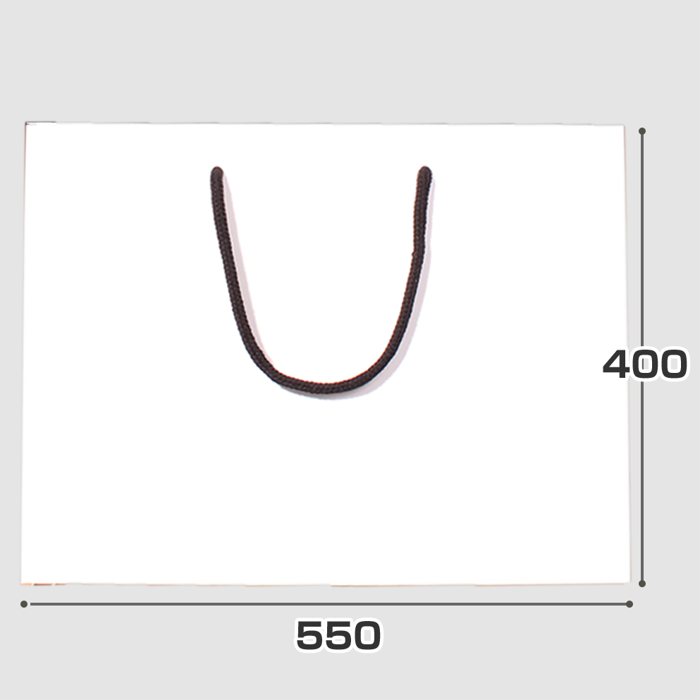 規格サイズ紙袋 ビッグ2サイズの正面写真