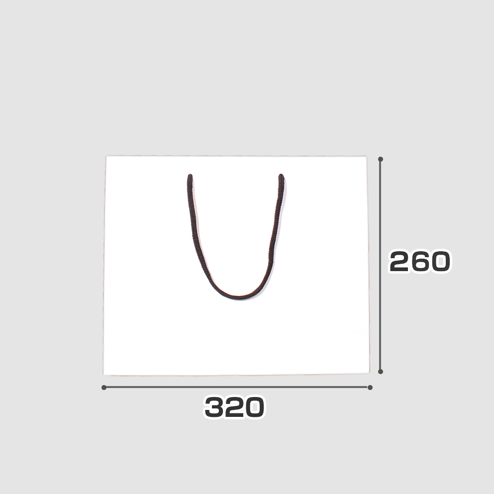 規格サイズ紙袋 L2サイズの正面写真