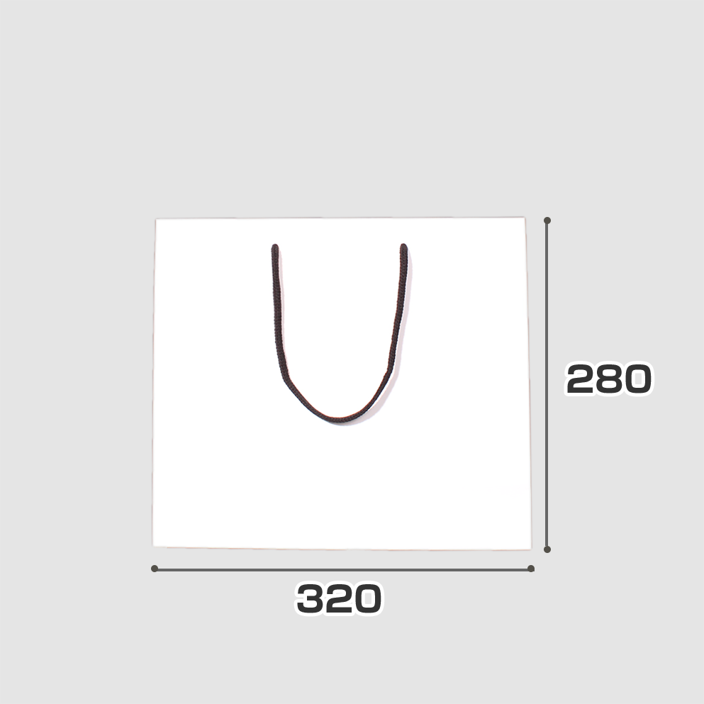 規格サイズ紙袋 L3サイズの正面写真