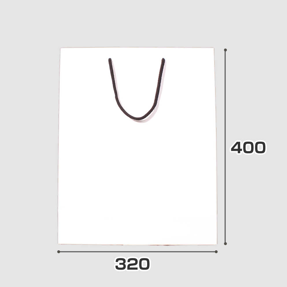 規格サイズ紙袋 L5サイズの正面写真