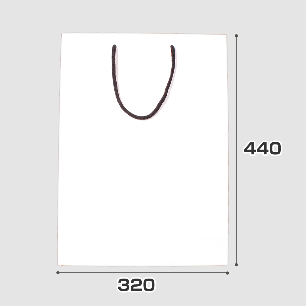規格サイズ紙袋 L6サイズの正面写真
