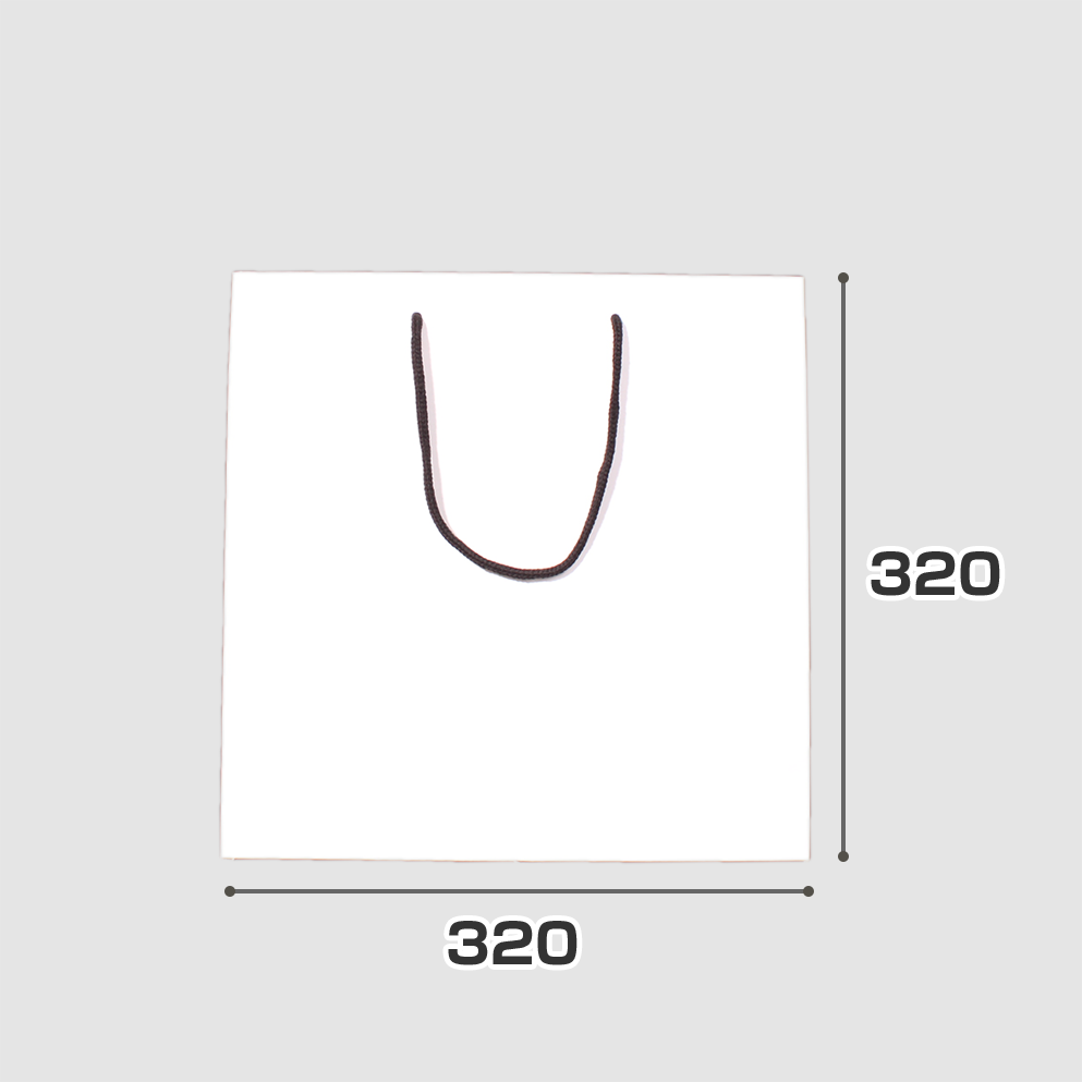 規格サイズ紙袋 Lスクエアの正面写真