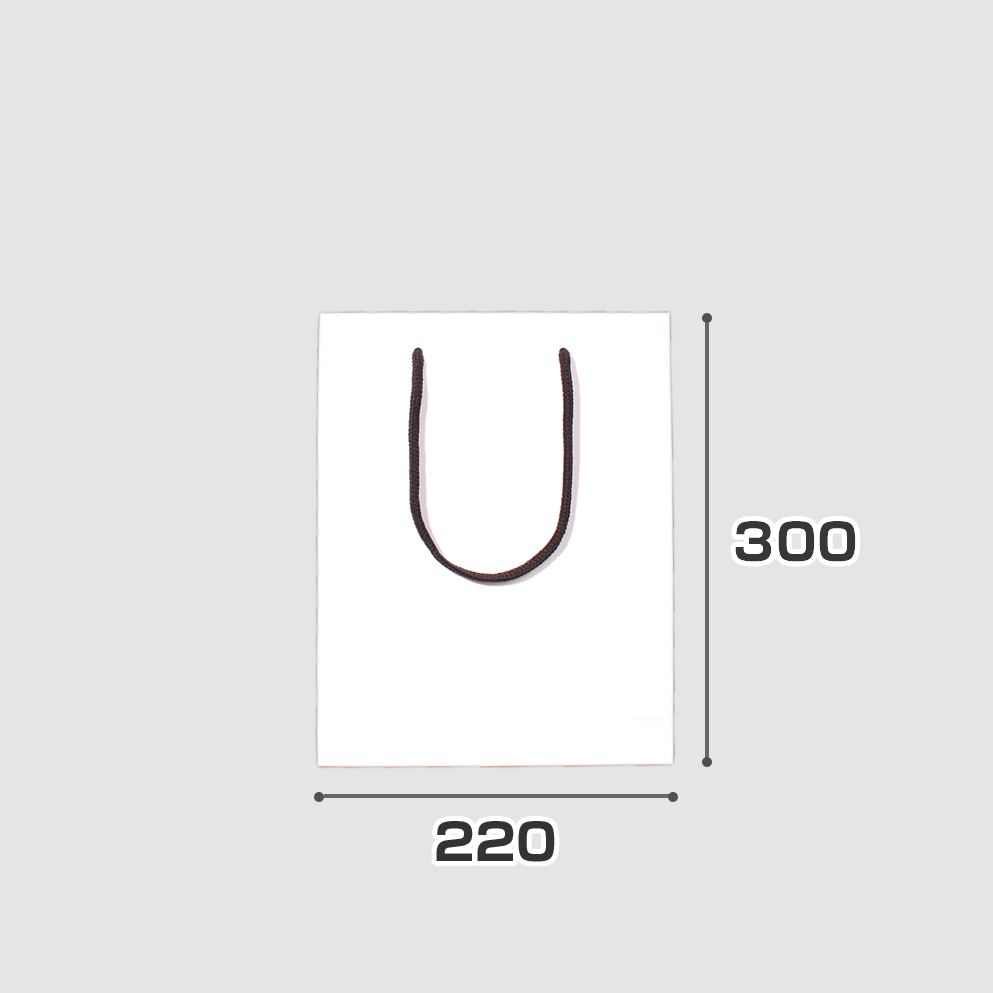規格サイズ紙袋 S2サイズの正面写真