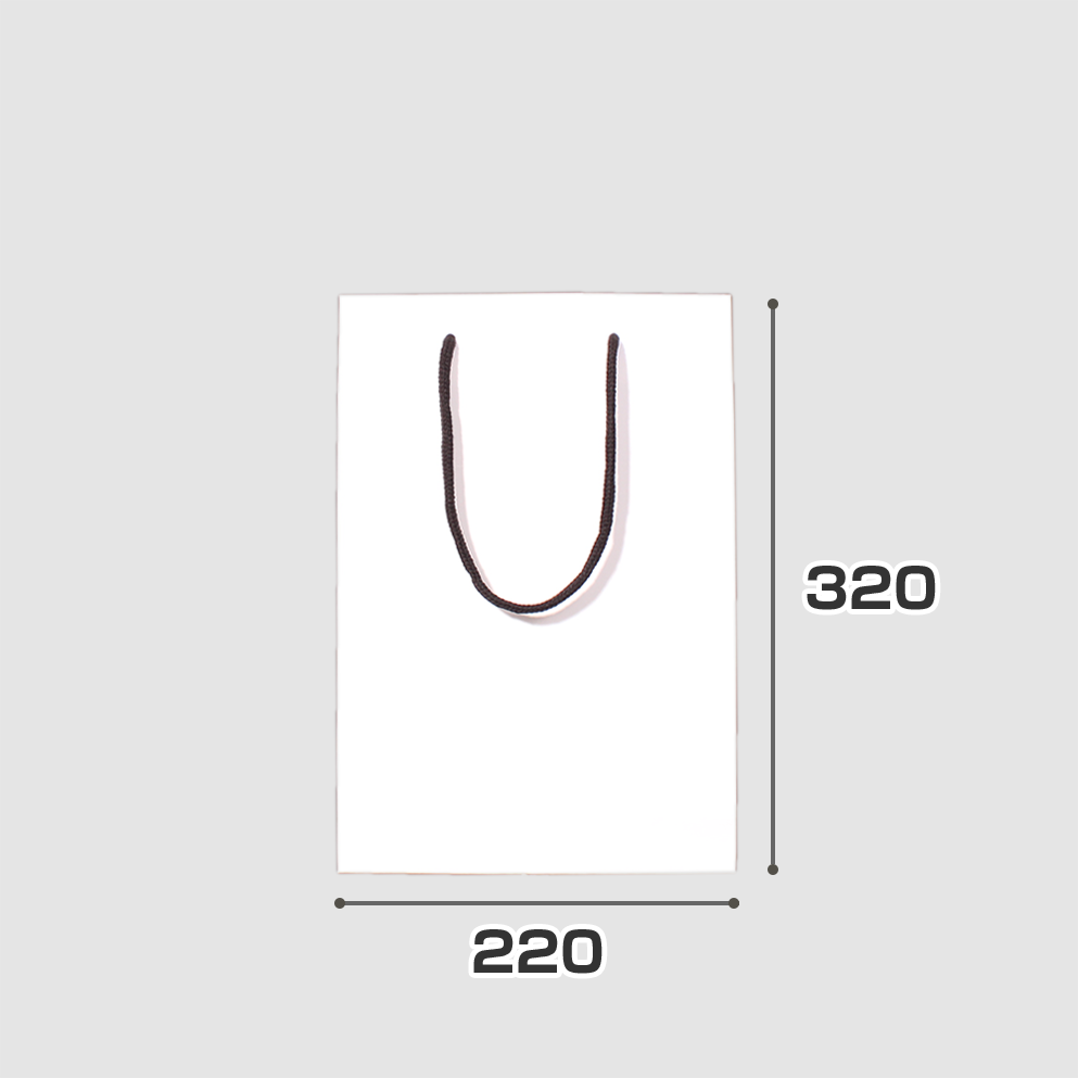 規格サイズ紙袋 S3サイズの正面写真